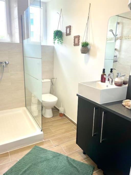 Logement Cosy Et Jardin Saint-Laurent-en-Royans Dış mekan fotoğraf